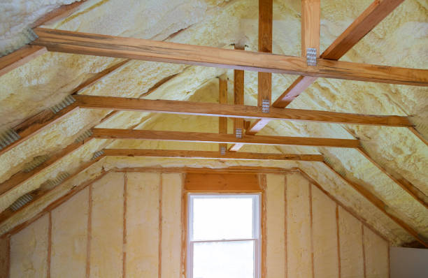 Best Geographic-Specific Insulation Services in Warren, IN