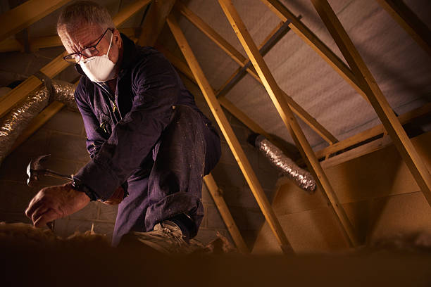 Best Insulation Maintenance and Repair in Warren, IN